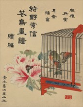 Caged Bird and Flower