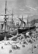 port of bona