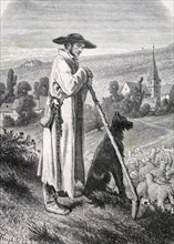 Alsatian shepherd