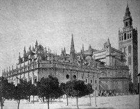 Cathedral of seville