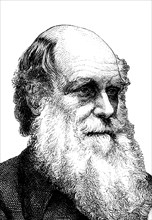 Charles robert darwin