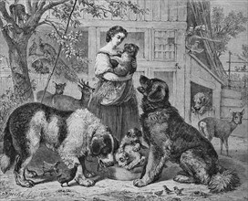 Woman with dogs,