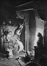 Walpurgis night of the cats