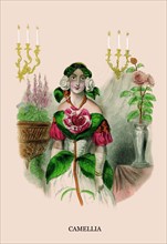 Camellia 1847