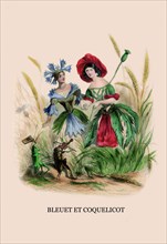 Bleuet et Coquelicot 1847