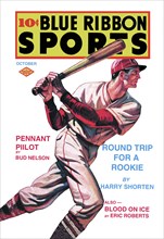 Blue Ribbon Sports: Round Trip for a Rookie