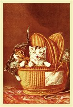 Little Kittens 1870
