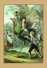Swiss Family Robinson: Training the Ostrich 1873