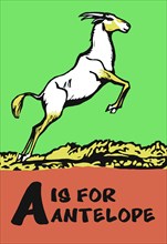 A is for Antelope 1923