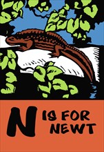 N is for Newt 1923