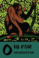 O is for Orangutang 1923