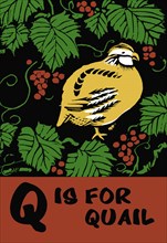 Q is for Quail 1923