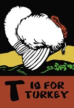T is for Turkey 1923