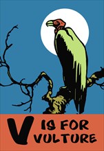 V is for Vulture 1923