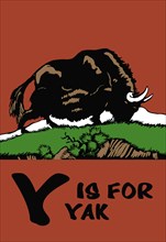 Y is for Yak 1923