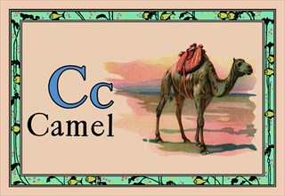 Camel 1926