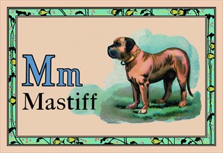 Mastiff 1926
