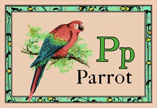 Parrot 1926