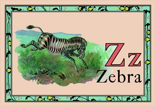 Zebra 1926