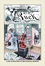 Puck Magazine: A New Attraction at the National Museum 1882