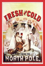 Fresh and Cold - Direct from the North Pole 1877