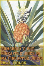 Somebody put Pineapple juice in my pineapple juice 2005