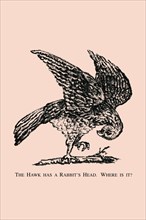 The Hawk Has a Rabbit's Head. Where is it? 1880