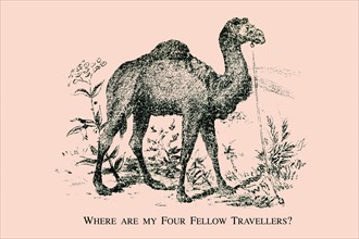 Where are my Four Fellow Travelers? 1880