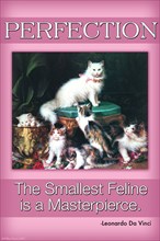 Perfection; The Smallest Feline is a Masterpiece 2006