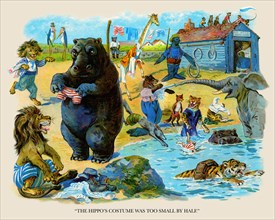 The Hippo's Costume was too Small by Half 1900