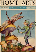 Sprite needs his socks darned by a dragonfly who is sitting on a mushroom 1936