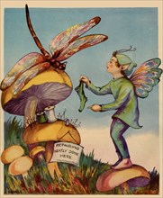 Sprite needs his socks darned by a dragonfly who is sitting on a mushroom 1936