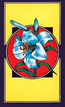 Lily Flower Broom Label