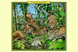 Leap of Leopards 2006