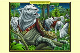 Streak of Siberian White Tigers 2006