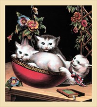 Merry Kitten 1877