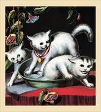 Frightened Kittens 1877