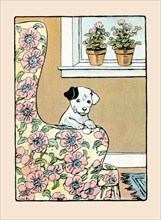 Lounge Chair Puppy 1914