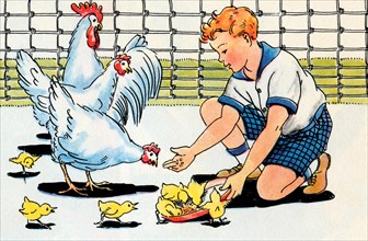 Feeding the Chickens 1938