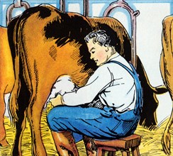Milking the Cow 1938