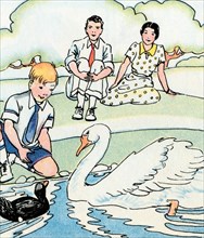 Feeding the Swan 1938