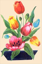Tulip Arrangement 1935