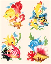 Tropical Fish Vignettes 1935