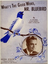What's the Good Word Mr. Bluebird