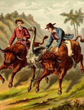 Boy & Girl riding bulls attempt to coral a large ostrich 1880
