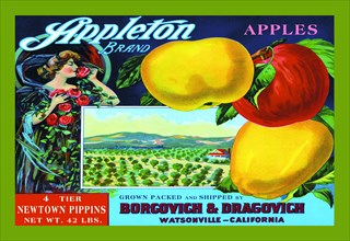 Appleton Brand Apples