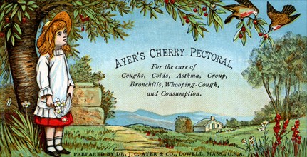 Ayer's Cherry Pectoral 1890