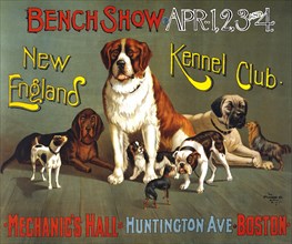 Bench show. New England Kennel Club 1890