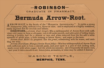 Bermuda Arrow-Root