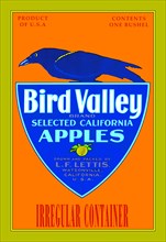 Bird Valley Brand Apples